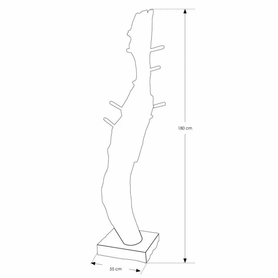 Portemanteau avec Structure et Patères en Teck Massif - Sapin Viadurini
