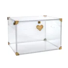 Coffre de rangement en plexiglas avec détails dorés, fabriqué en Italie - Briseide Viadurini
