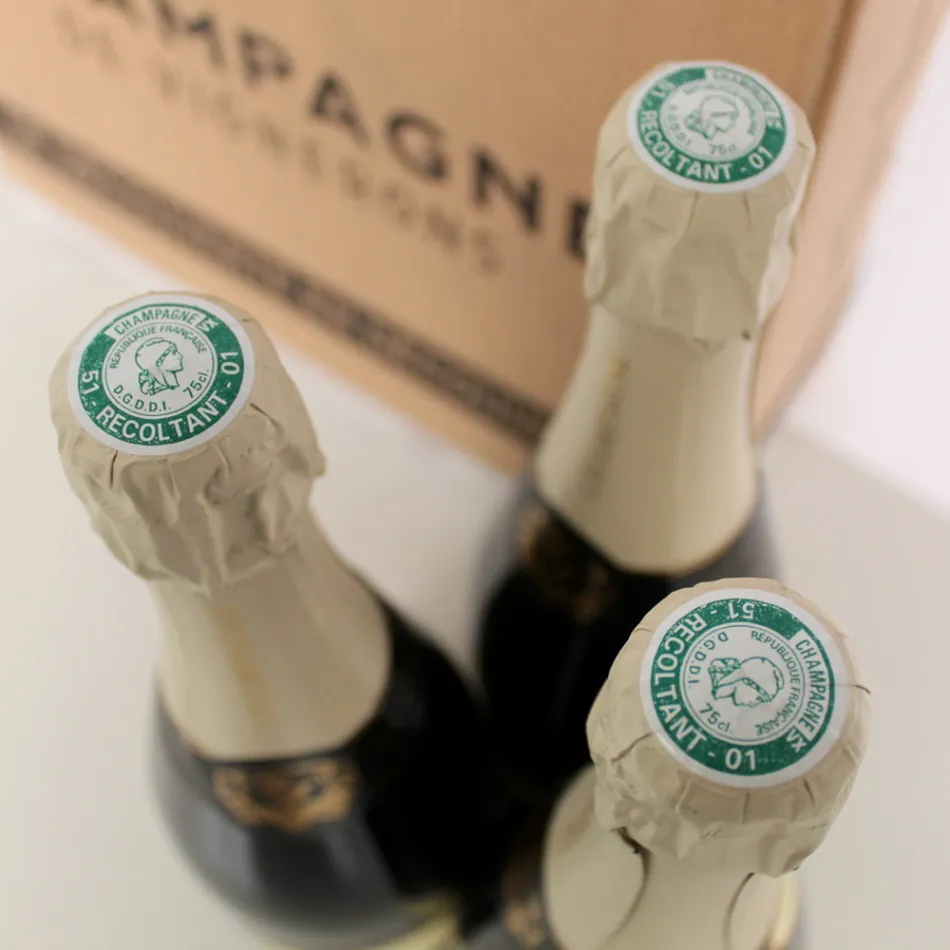 Cuvée de Champagne exclusive pour Viadurini Pack 3 bouteilles "Champagne de Vignerons" Viadurini