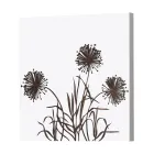 Composition de 4 Panneaux avec Hortensias, Allium et Thypha Made in Italy - Calcul Viadurini