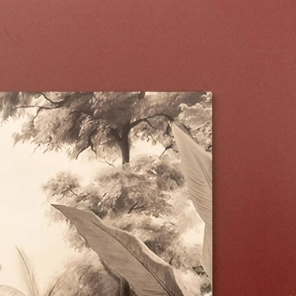 Composition de peintures en bois avec impression d'éléphants fabriquées en Italie - Patagonie Viadurini