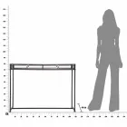 Console de salon rectangulaire de style moderne en fer et MDF - Wendell Viadurini