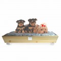 Chenil pour chiens et chats en bois massif avec poignées et coussin Made in Italy - Lyn