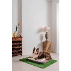 Lit pour chien avec coussin et tapis en gazon synthétique Fabriqué en Italie - Jeu Viadurini