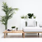 Canapé 4 places en teck, tissage de corde et coussins - Bellatrix Viadurini