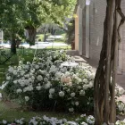 Lampadaire de Jardin Design Aluminium Blanc avec Feuille de Nénuphar - Cipriam Viadurini