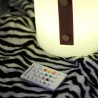 Lampe design portable pour l'extérieur avec LED multicolores, haut-parleur Bluetooth et télécommande (IP44) Viadurini