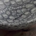 Lavabo à poser en céramique design fabriqué en Italie Viadurini