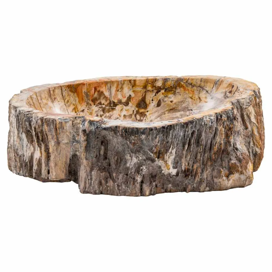 Évier à poser fabriqué à la main en bois fossile, Neviglie Viadurini
