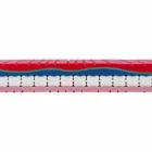 Matelas simple en mémoire de qualité 25 cm de hauteur Fabriqué en Italie - Platine Viadurini