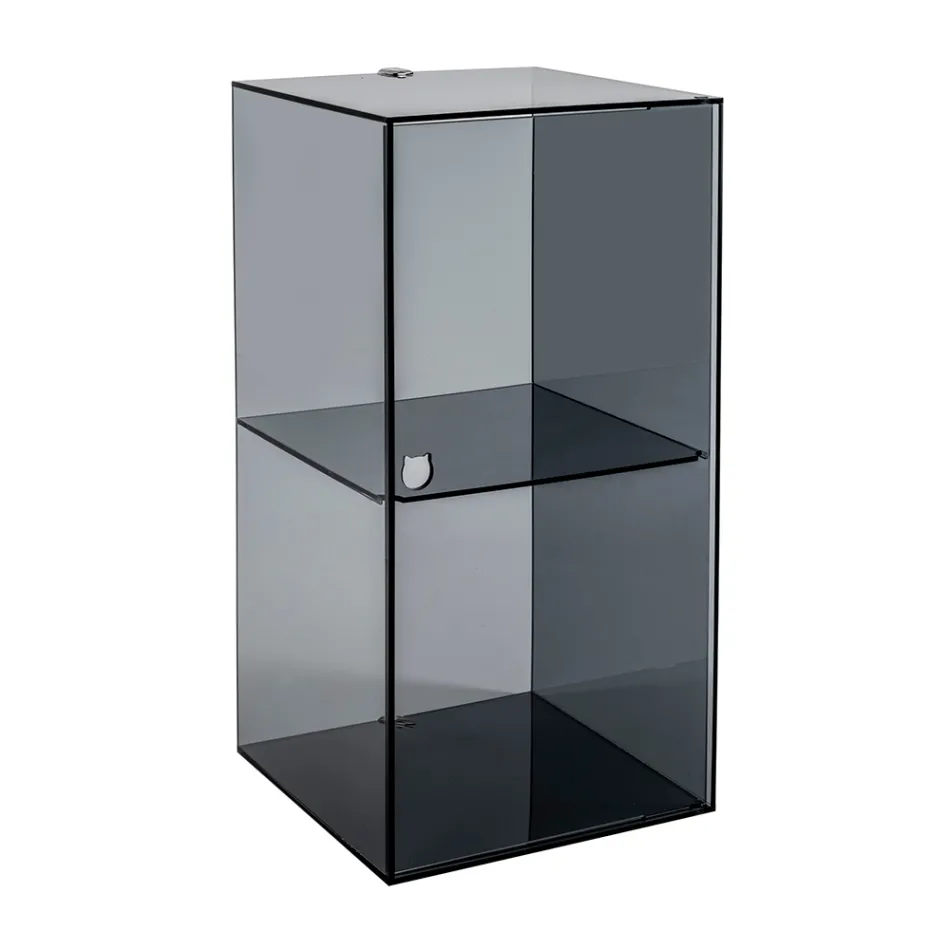 Armoire de salle de bain murale en plexiglas, disponible en 4 coloris, fabriquée en Italie - Ligea Viadurini
