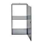 Armoire de salle de bain murale en plexiglas, disponible en 4 coloris, fabriquée en Italie - Ligea Viadurini