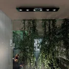 Plafonnier avec plaque de verre plate et abaissements - Kora Viadurini