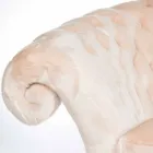 Fauteuil usiné matelassée en fausse fourrure Balma Viadurini