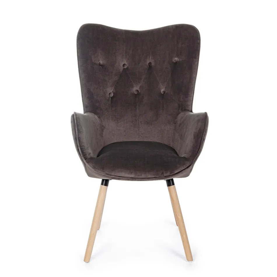 Fauteuil design en bois de hêtre et velours vert ou gris - Gilly Viadurini