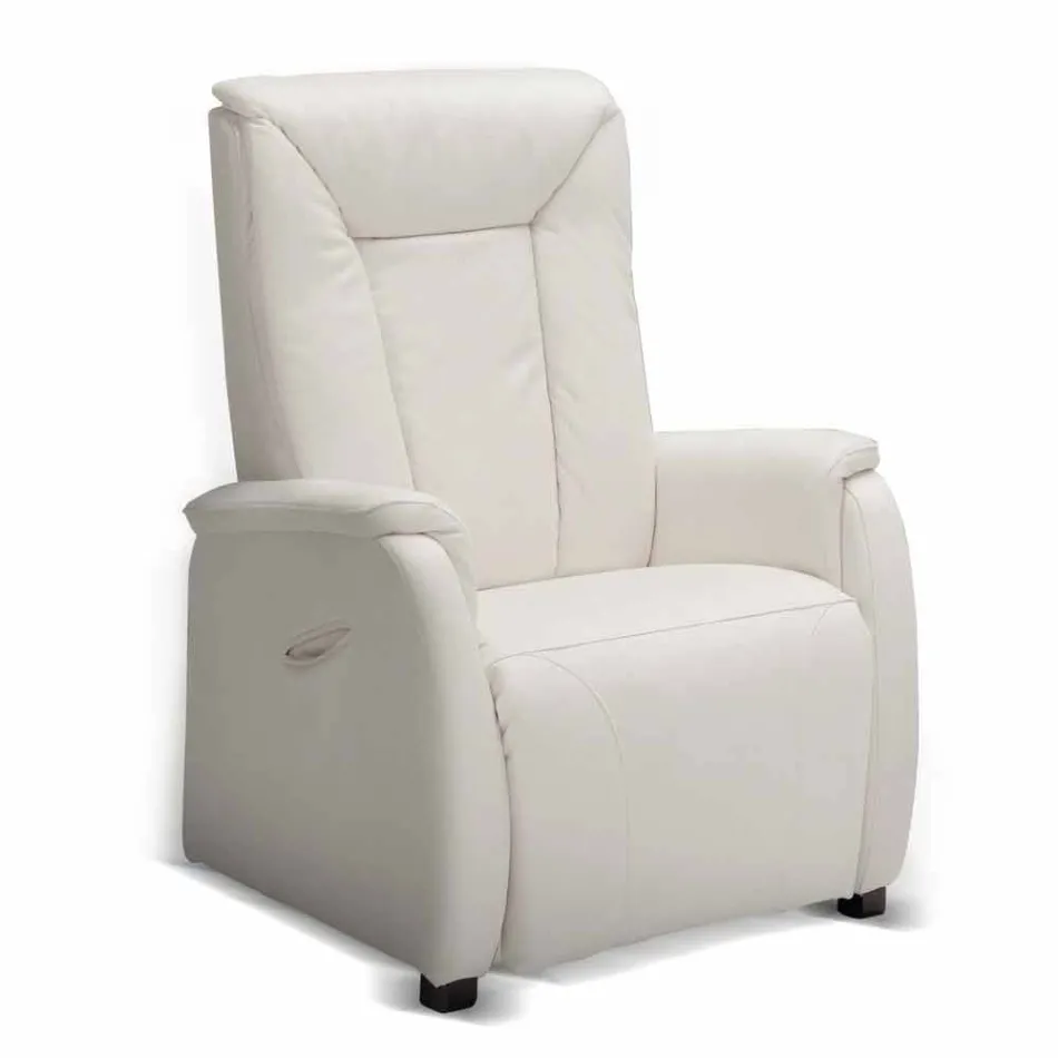 Fauteuil relax alzapersona 2 moteurs de conception Rosa, made in Italy Viadurini