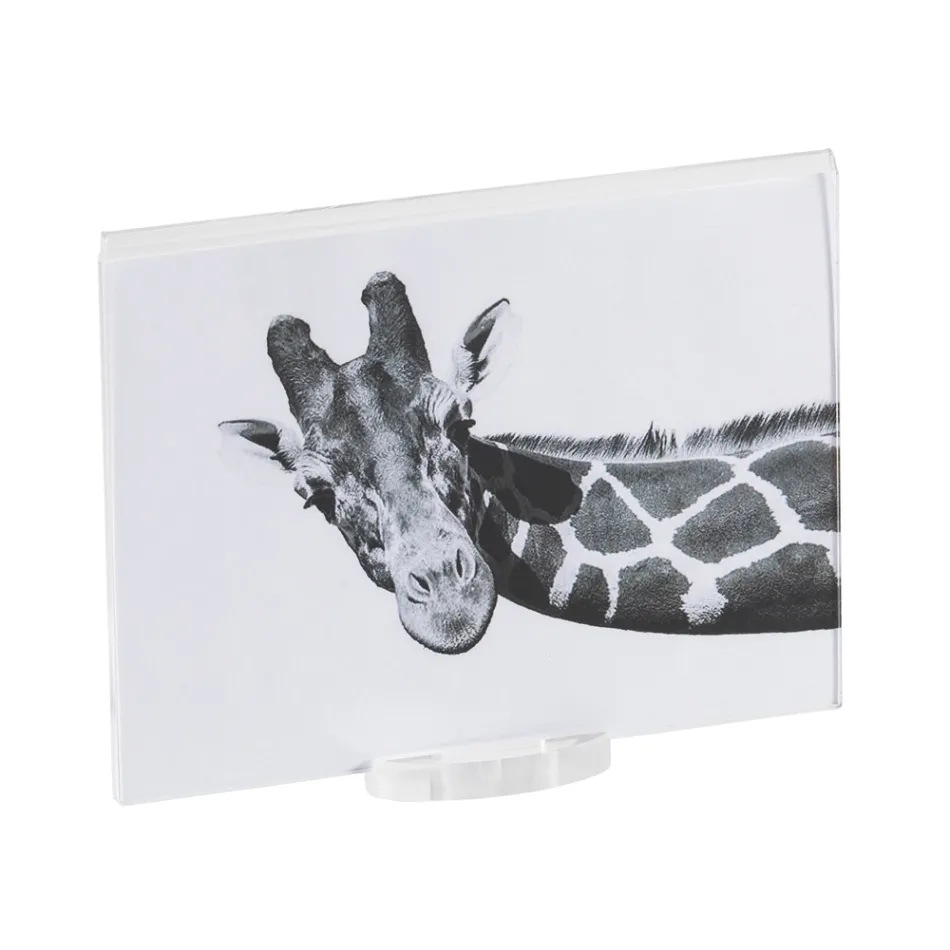 Cadre photo en cristal acrylique transparent avec base design - Rover Viadurini