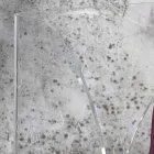 Porte-parapluie en cristal acrylique transparent décoré au laser - Versio Viadurini