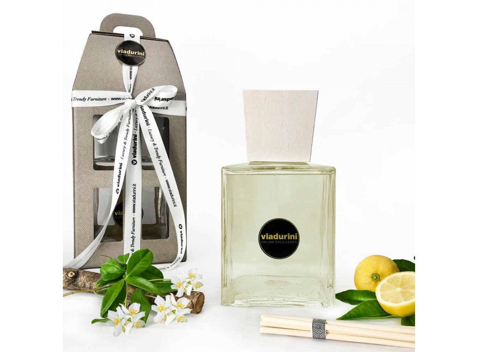Désodorisant Ambiant Parfum Cuir 2,5 Lt avec Sticks - Lavecchiavenezia Viadurini