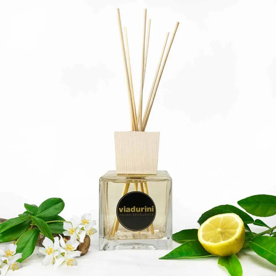 Parfum d'ambiance cuir parfumé 500 ml avec bâtonnets - Lavecchiavenezia Viadurini