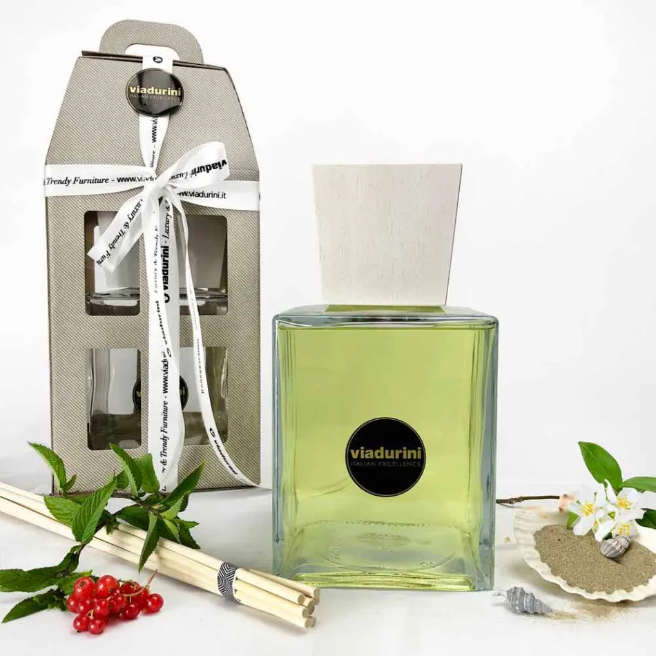 Parfum d'ambiance vanille et mou 2,5 Lt avec bâtonnets - Sabbiedelsalento Viadurini