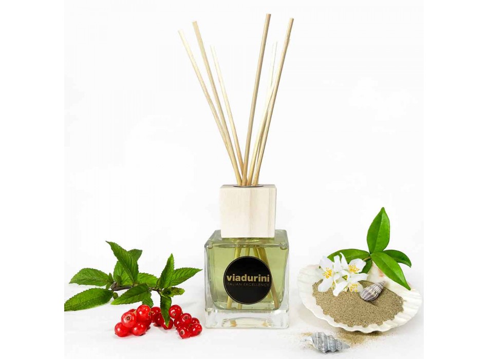 Parfum d'ambiance Vanille et Mou 200 ml avec Sticks - Sabbiedelsalento Viadurini