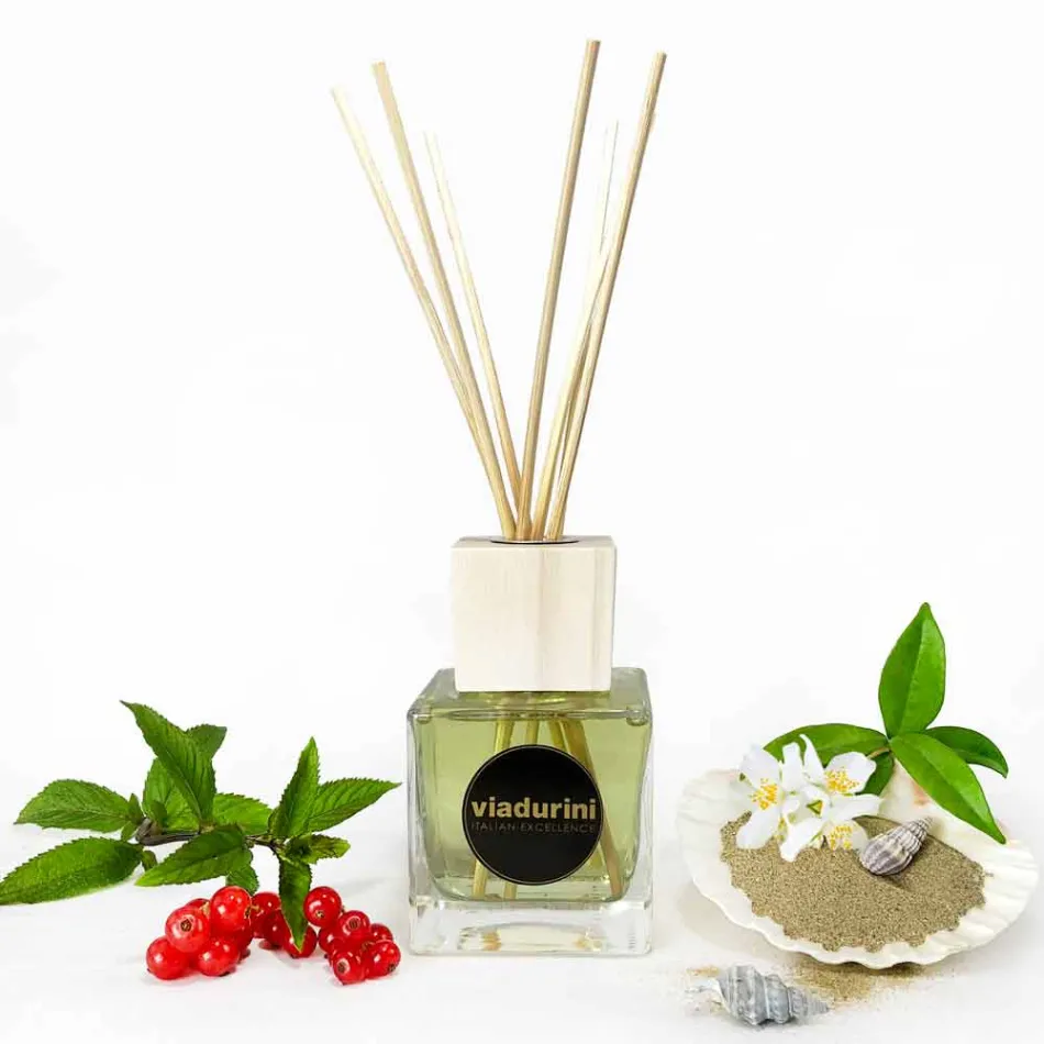 Parfum d'ambiance Vanille et Mou 200 ml avec Sticks - Sabbiedelsalento Viadurini