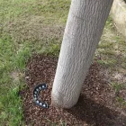 Projecteur LED extérieur 9W en aluminium finition noir mat - Tudor Viadurini