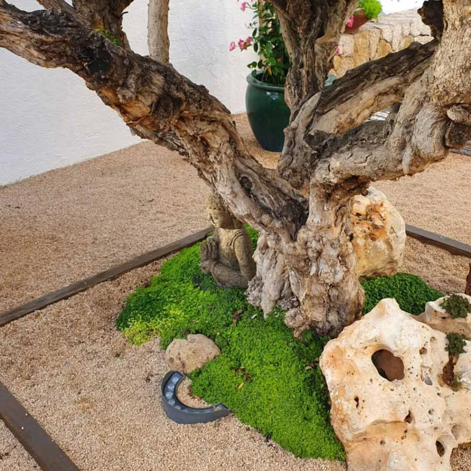 Projecteur LED extérieur 9W en aluminium finition noir mat - Tudor Viadurini