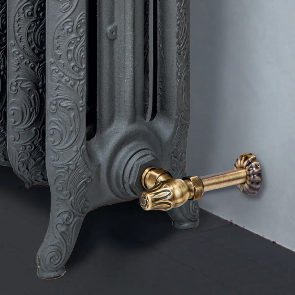 Radiateur Hydraulique en Fonte à 3 Colonnes Décorées - Vanilline Viadurini