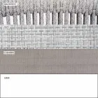 Chaise d'extérieur avec accoudoirs empilable rembourrée H 78cm - Smart by Varaschin Viadurini