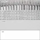 Chaise d'extérieur avec accoudoirs empilable rembourrée H 78cm - Smart by Varaschin Viadurini