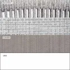 Chaise d'extérieur avec accoudoirs empilable rembourrée H 78cm - Smart by Varaschin Viadurini