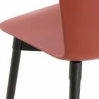 Chaise en polypropylène avec base en chêne teinté Made in Italy, 2 pièces - Scandio Viadurini