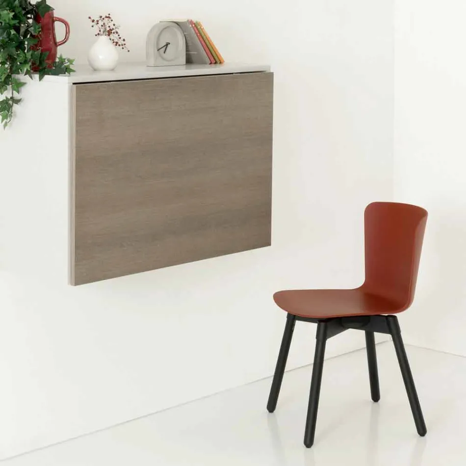 Chaise en polypropylène avec base en chêne teinté Made in Italy, 2 pièces - Scandio Viadurini