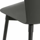 Chaise en polypropylène avec base en chêne teinté Made in Italy, 2 pièces - Scandio Viadurini