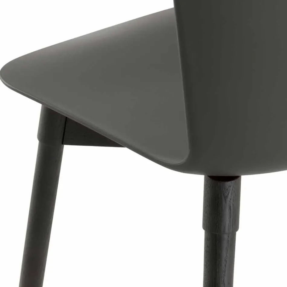 Chaise en polypropylène avec base en chêne teinté Made in Italy, 2 pièces - Scandio Viadurini