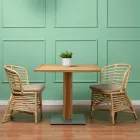 Chaise pour le jardin en rotin naturel avec coussin inclus - Torvi Viadurini