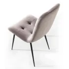 Chaise de salle à manger rembourrée en velours résistant aux taches, 4 pièces - Kylie Viadurini