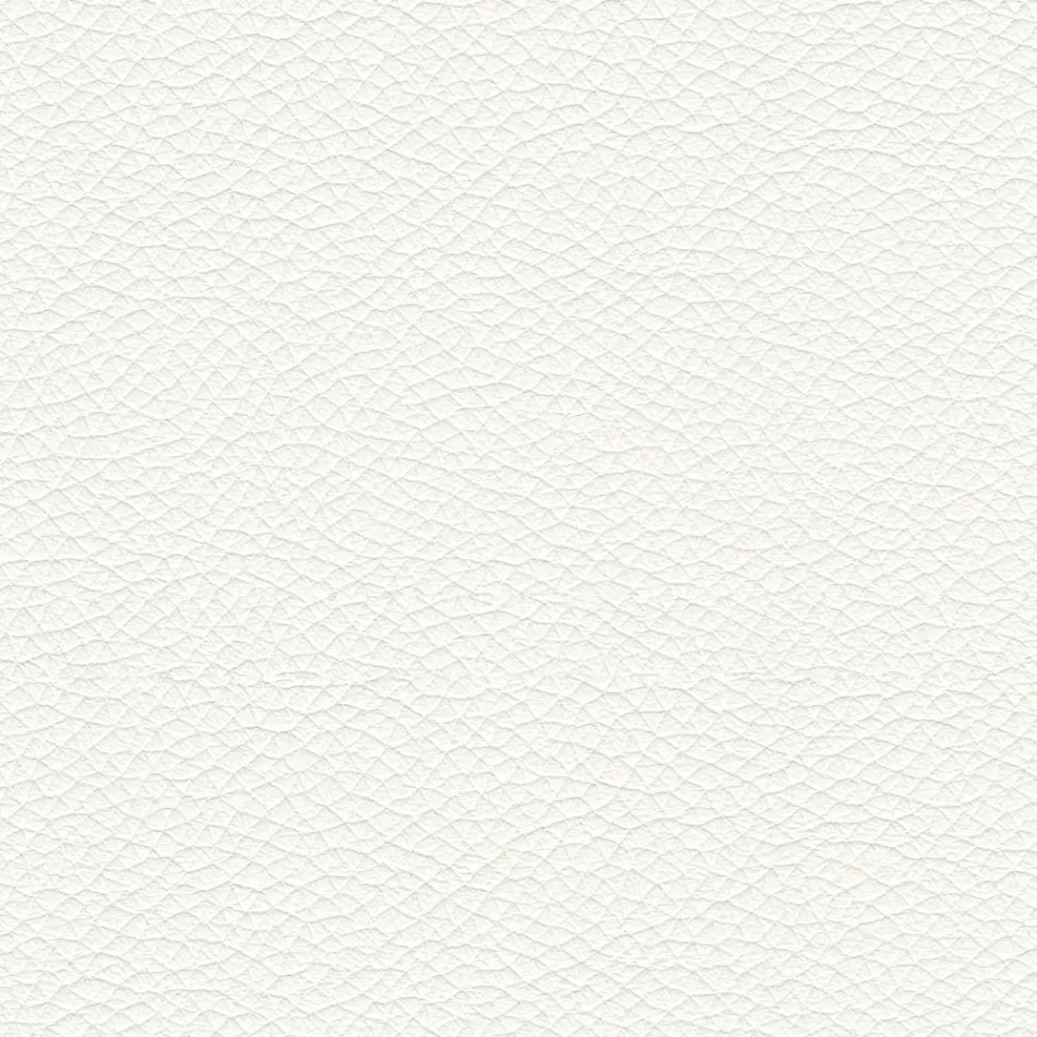 Chaise de salle à manger avec assise recouverte de cuir Made in Italy - Giulia Viadurini