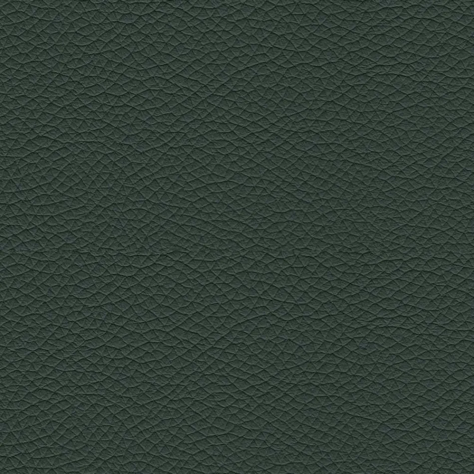 Chaise de salle à manger avec assise recouverte de cuir Made in Italy - Giulia Viadurini