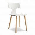 Chaise de salle à manger en bois et polypropylène Made in Italy, 2 pièces - Clover