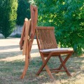 Chaise de jardin pliante en bois de teck