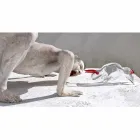 Ornement en forme de taureau en verre rouge et transparent Made in Italy - Torero Viadurini