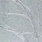 Miroir mural rectangulaire en bois de sapin fabriqué en Italie Achille Viadurini