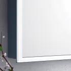 Miroir mural moderne à 2 portes, éclairage LED, Adele Viadurini
