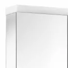 Miroir conteneur moderne avec 2 portes en aluminium peint argenté - Alfio Viadurini