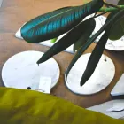 Planche à découper ronde en marbre de Carrare blanche fabriquée en Italie - Masha Viadurini