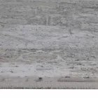 Tapis design en viscose et beige acrylique gris avec motif - Président Viadurini