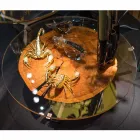 café haut café moderne avec le verre et le plancher bois Bigo 1 Viadurini